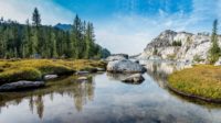 Image of a river with forestry on one side and boulders on the other.