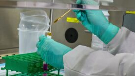 Someone testing a swab sample in a pair of lab gloves and a lab coat