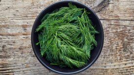 Fresh dill in a black bowl