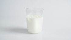 Glass of milk