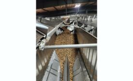 Vanmark Bulk Bin with potatoes