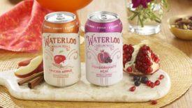 Waterloo Pomegranate Acai Spiced Apple