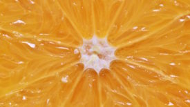 Orange slice close up