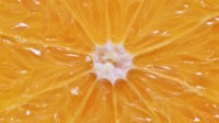 Orange slice close up