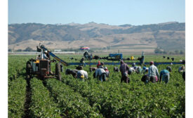 farmworkers