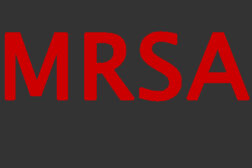 Whole genome sequencing confirms livestock-to-human MRSA transmission