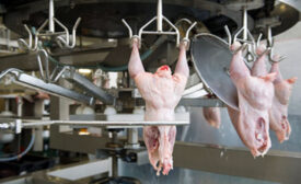 New video series focuses on food safety advancements in poultry industry