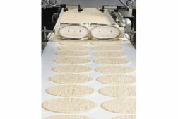 The Habasit WVT-225 CleanLine TPO food conveyor belt