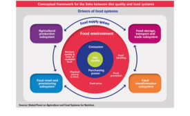 Diet Quality and Food Systems chart