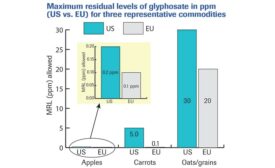 MRLs of glyphosate