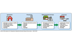 causes of food loss and waste