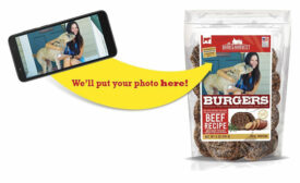 pet photo on dog treat packaging