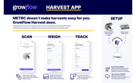 A new app allows for weighing and measuring individual cannabis plants offline. Photo courtesy of GrowFlow