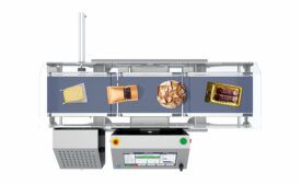 Raptor checkweigher-Fortress