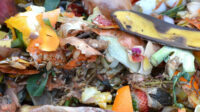 Food waste