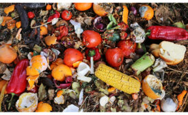 Food waste