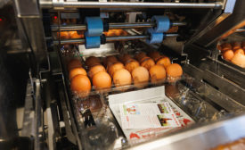 Egg Central Station is qualified for high standards of food safety