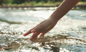 Closeup hand woman touching water in the forest river