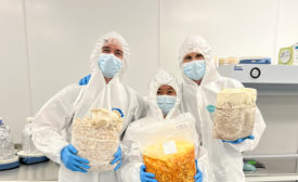 Holding bags of fungi