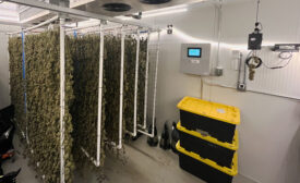 Cannabis drying room