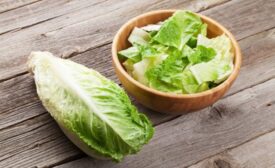 Romaine Lettuce