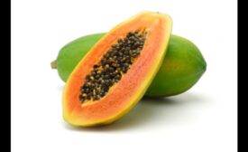 Papaya salmonella outbreak