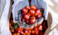 Raw materials like palm oil are often mixed with physically identical raw materials